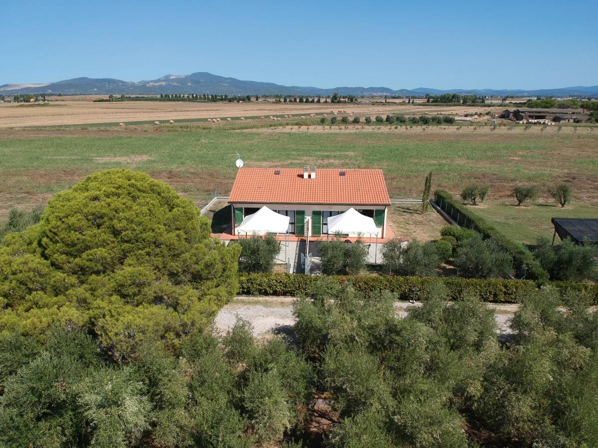 Agriturismo Olivomare Piombino Exterior foto