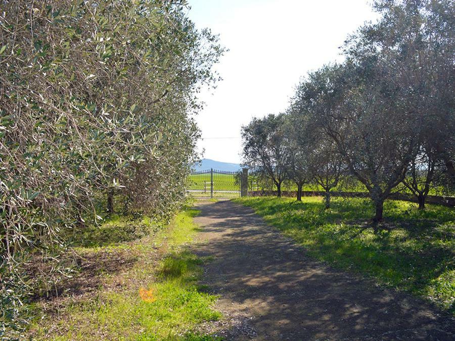 Agriturismo Olivomare Piombino Exterior foto