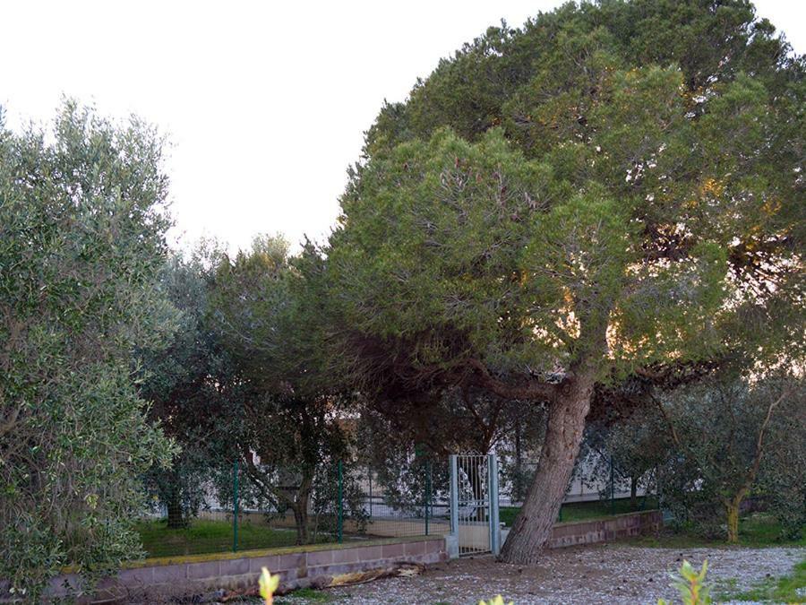 Agriturismo Olivomare Piombino Exterior foto